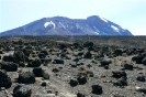 Kilimanjaro 14_9